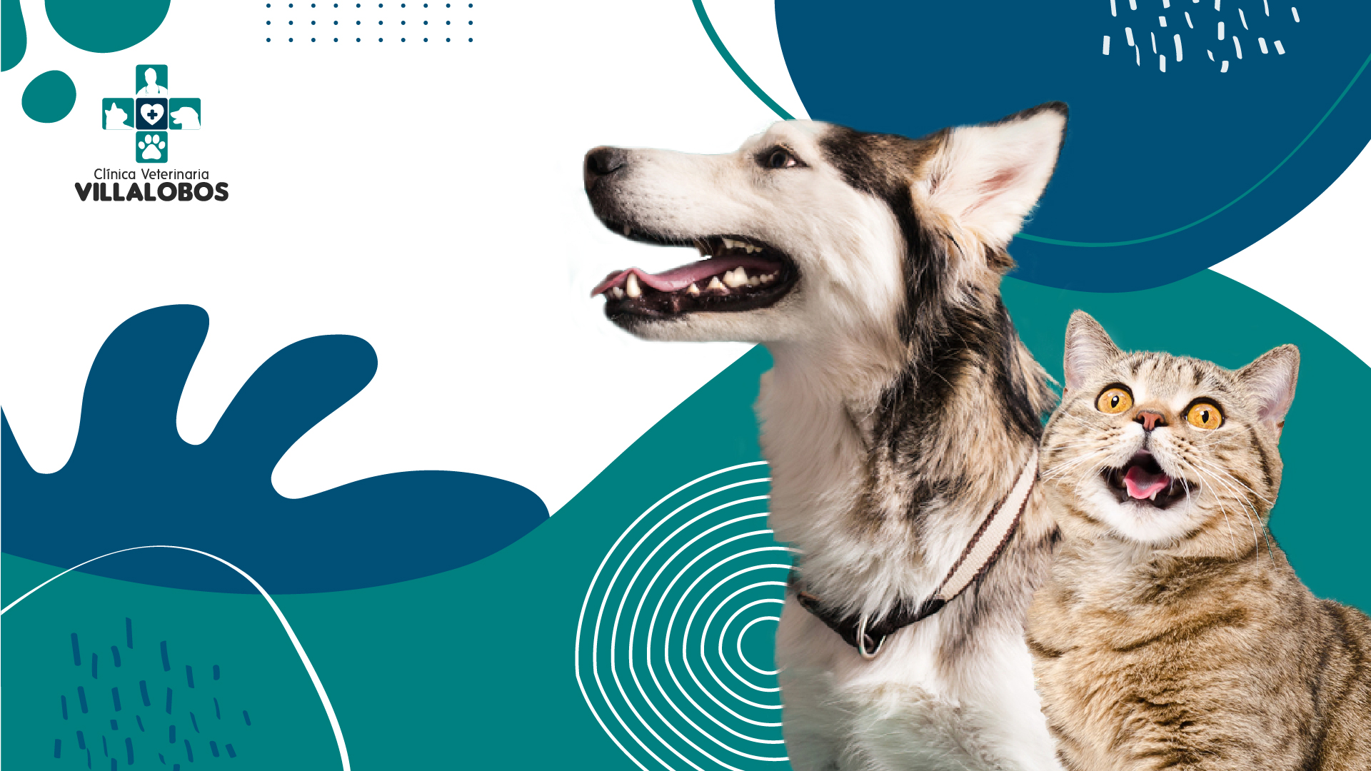 Clínica Veterinaria Villalobos