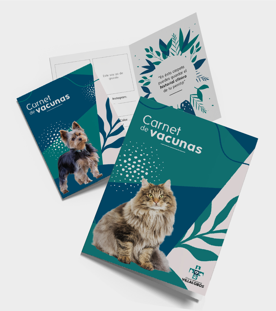 Proyecto: Clínica Veterinaria Villalobos