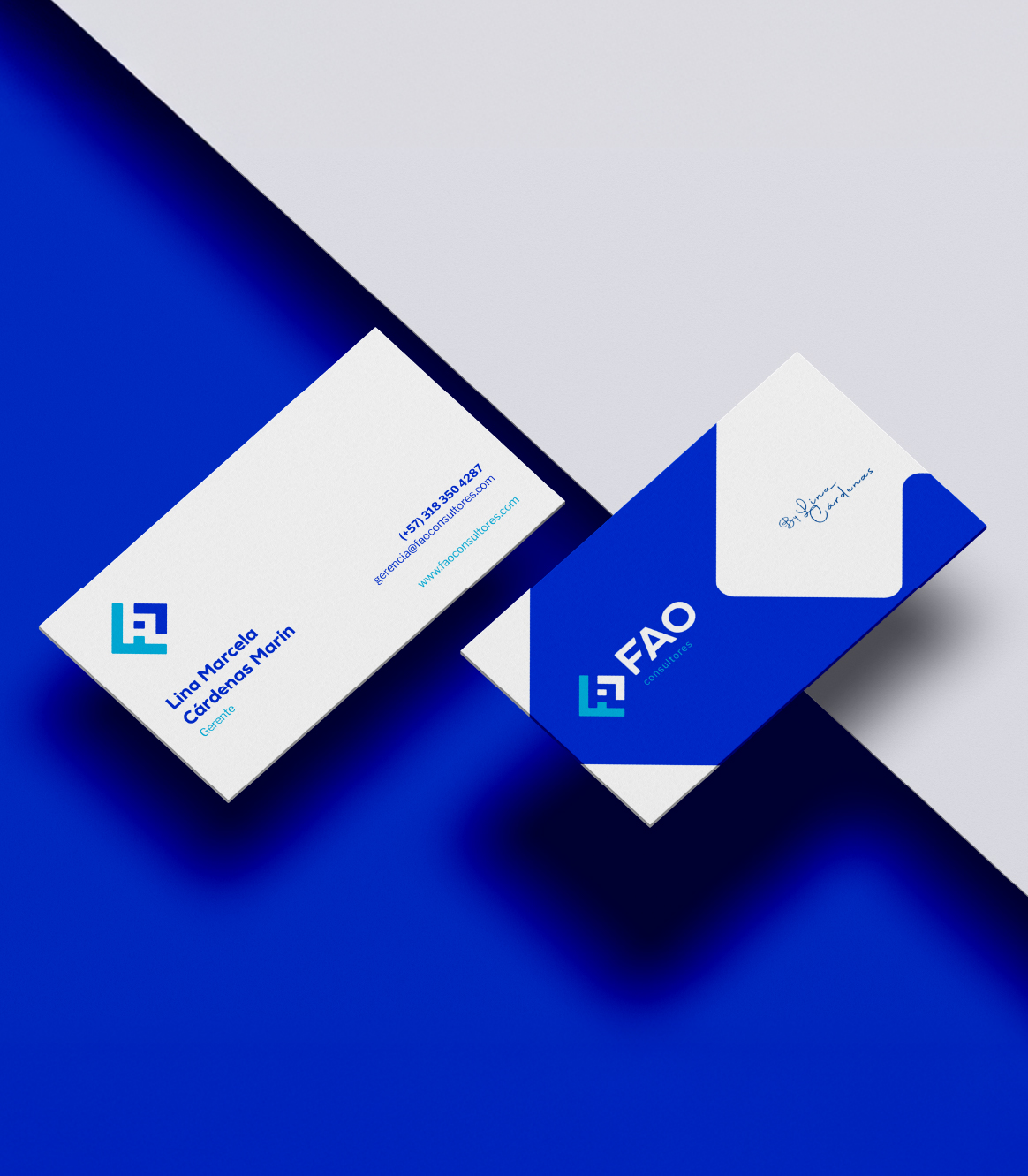 Proyecto: FAO Consultores