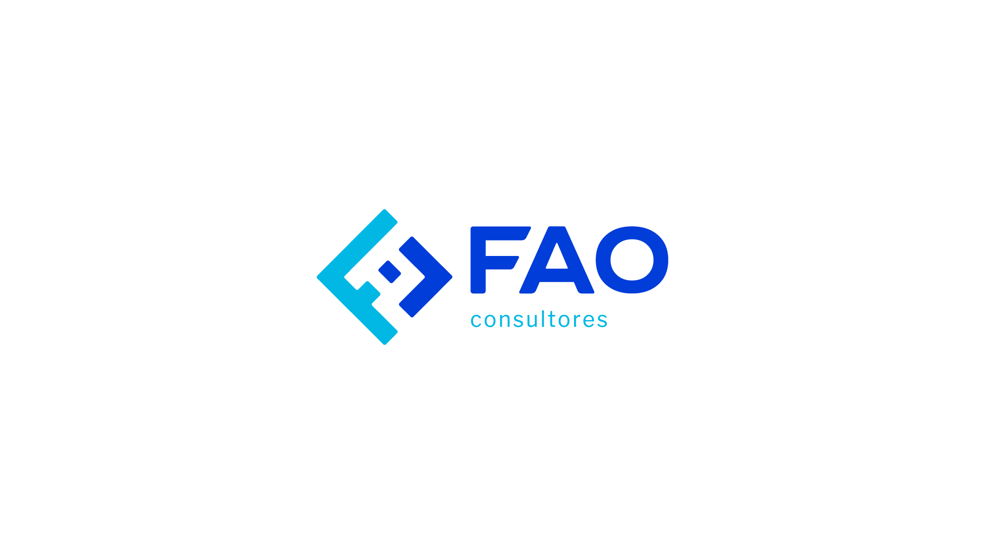 FAO Consultores